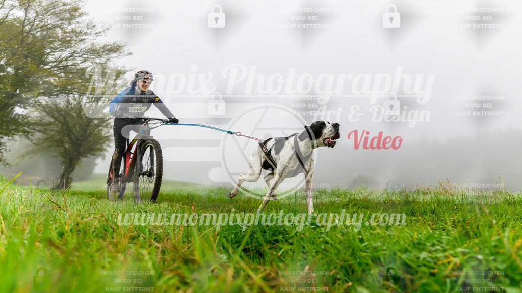 MompixPhotography_20TSB_E5_Bike-27 | PayLife