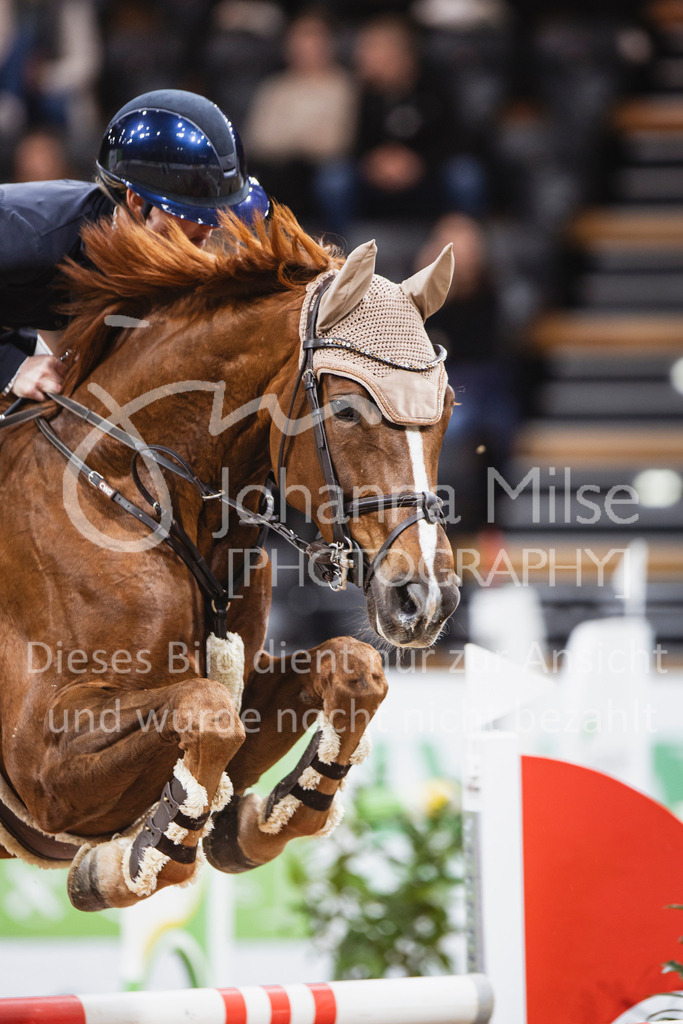 251031_OLD_M2-Spr-230 | Turnierfotos Oldenburg 2025 | Waldbach Amateur Tour - Qualifikation