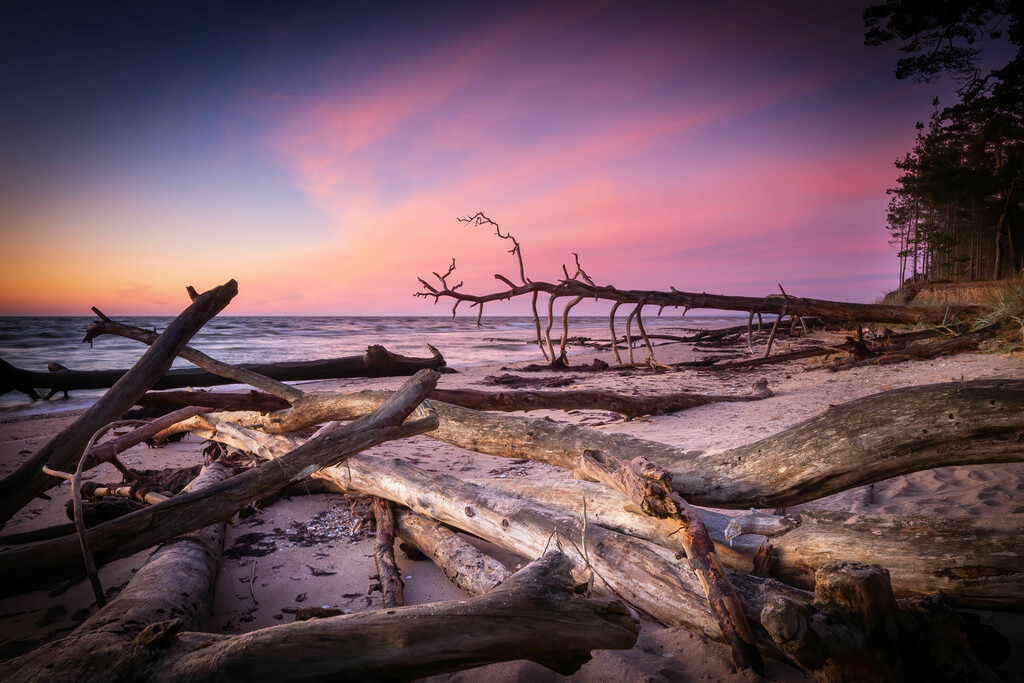 IMG_1465-Bearbeitet-Bearbeitet-Bearbeitet | christophschaarschmidt - Realisiert mit Pictrs.com