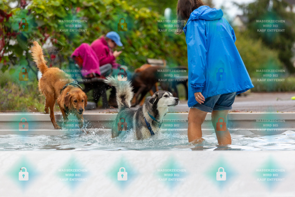 _HP_6242_1000o | HetPix, HetPix Fotodesign, Fotografie, Fotodesign, Webshop, Sportfotografie, Portraitfotografie, Onlineshop, Sportfotografie, Polch, Motorsportfotografie, Eventfotografie