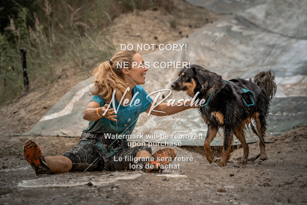 nelerasche_sa1430-1500_279 | nelerasche
