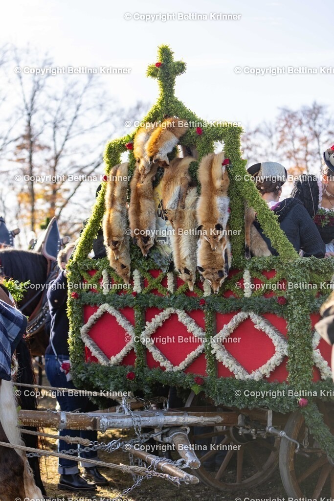 LBT24-1131 | foto-bettina-krinner - Realisiert mit Pictrs.com