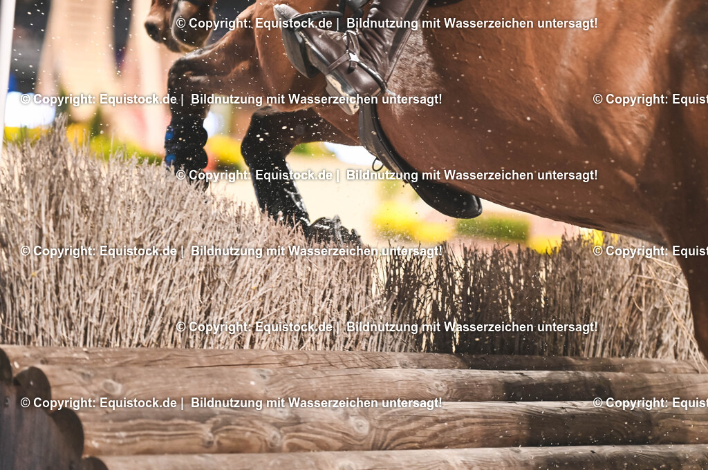 20251112_Indoor-Derby_TOMSPIC_0025 | Foto: Thomas Hartig