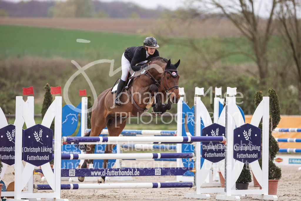 250417_Springpferde-L2-332 | Deine schönsten Turniermomente als professionelle Fotos! Entdecke hochwertige Pferdesport-Fotografie im Online-Shop. Jetzt Fotos finden & bestellen!