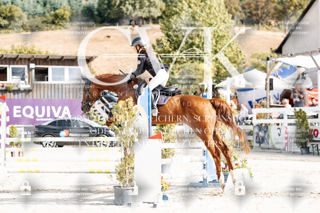 CK909029 | Turnierfotografie Pferdefotografie Trier Rheinland-Pfalz Pferdesport Reitsport Tierfotografie Sportfotografie Pferdevideo Pferdevideografie Equestrianvideography equestrianphotography  - Realisiert mit Pictrs.com