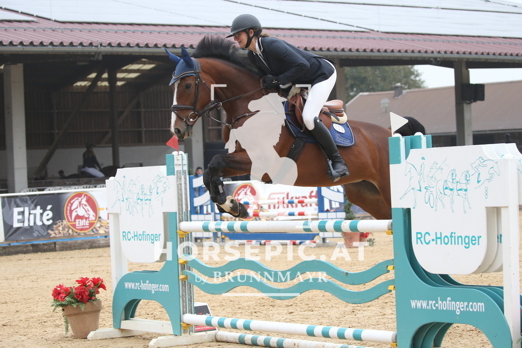 DL2Q3544 | Willkommen bei Brunnmayr - Design & Fotografie – Ihrem Spezialisten für Reitturniere und Pferdeveranstaltungen in Oberösterreich, Salzburg und Bayern! Seit über 17 Jahren sind wir leidenschaftlich dabei.