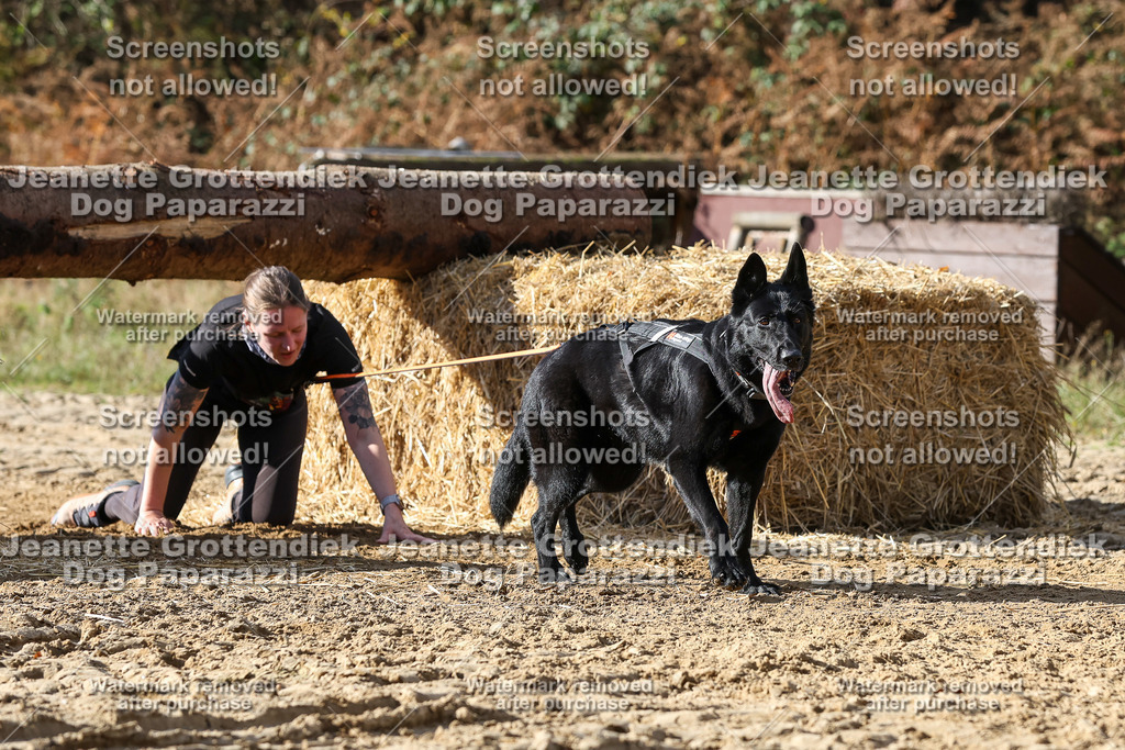 Dog Paparazzi - Strongdog 10-25-4942 | Dog Paparazzi Jeanette Grottendiek Fotografie & Videografie - Realisiert mit Pictrs.com