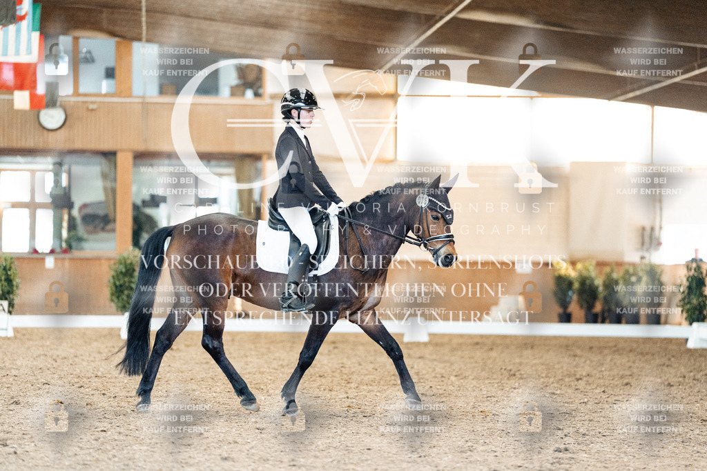 CK908065 | Turnierfotografie Pferdefotografie Trier Rheinland-Pfalz Pferdesport Reitsport Tierfotografie Sportfotografie Pferdevideo Pferdevideografie Equestrianvideography equestrianphotography  - Realisiert mit Pictrs.com