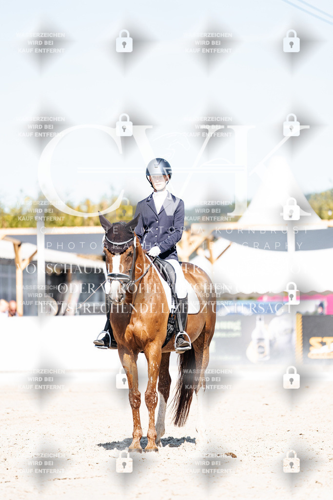 CK908502 | Turnierfotografie Pferdefotografie Trier Rheinland-Pfalz Pferdesport Reitsport Tierfotografie Sportfotografie Pferdevideo Pferdevideografie Equestrianvideography equestrianphotography  - Realisiert mit Pictrs.com