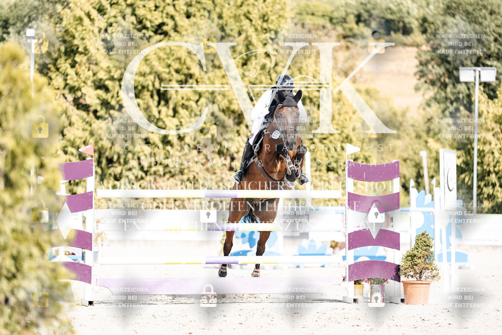 CK909085 | Turnierfotografie Pferdefotografie Trier Rheinland-Pfalz Pferdesport Reitsport Tierfotografie Sportfotografie Pferdevideo Pferdevideografie Equestrianvideography equestrianphotography  - Realisiert mit Pictrs.com