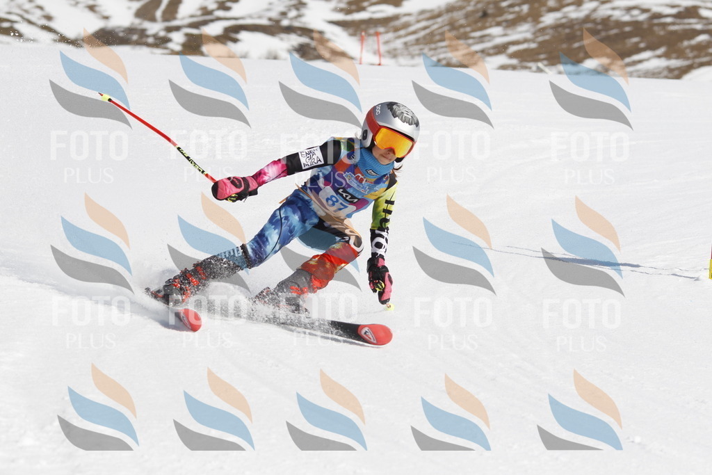 _U3G0108 | holidayphoto