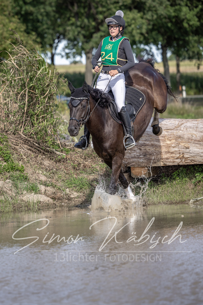 20250907-_3LI2522 | Tierfotografie Pferde, Hunde, Katzen, Haustiere.
Turnierfotografie Reitturniere, Reiten, Springreiten, Dressur in Hanau, dem Main-Kinzig-Kreis und dem Rhein-Main- Gebiet um Frankfurt
