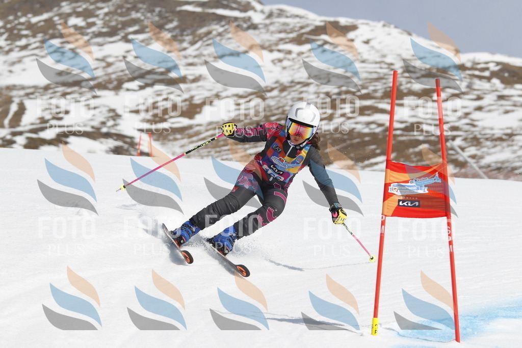 _U3G1467 | holidayphoto