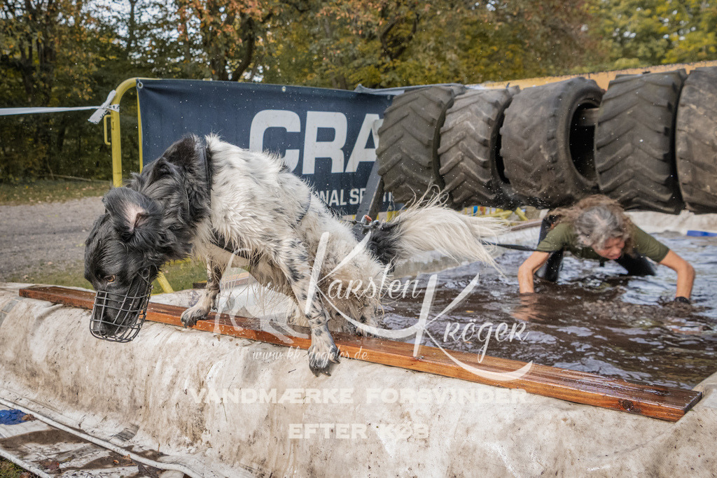 1442_ZZ94909 | kk-dogfotos