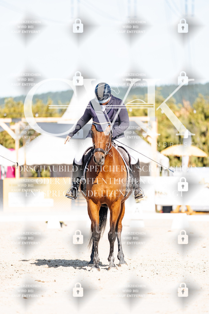 CK907926 | Turnierfotografie Pferdefotografie Trier Rheinland-Pfalz Pferdesport Reitsport Tierfotografie Sportfotografie Pferdevideo Pferdevideografie Equestrianvideography equestrianphotography  - Realisiert mit Pictrs.com