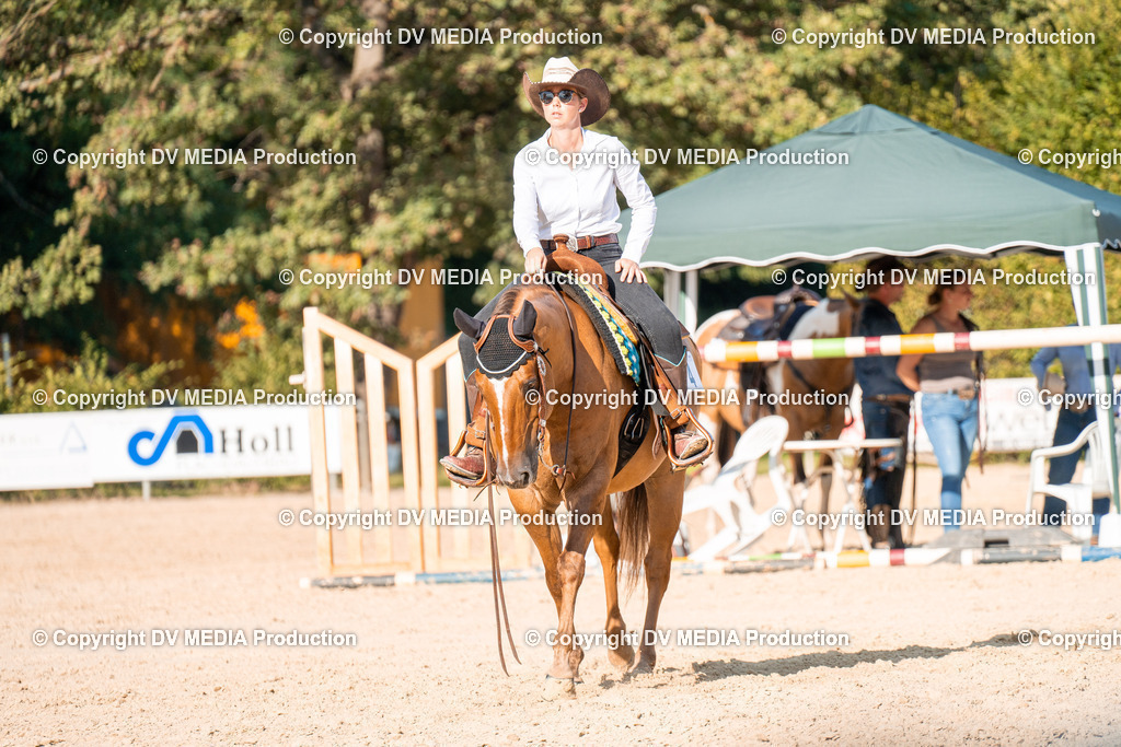 ZH100846 | dv-media-shop - Realisiert mit Pictrs.com