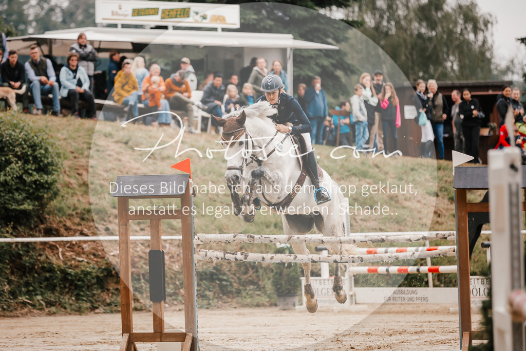 3I6A1973 | Stimmungsvolle Portraits und Reitsportfotografie im Ruhrgebiet und im Münsterland.

Pferdefotografie, Hundefotografie, Tierfotografie, Reportagen, Portraits von Tier und Mensch, Turnierfotografie in Bochum, Recklinghausen, Marl, Haltern am See, Dülmen.. - Realisiert mit Pictrs.com