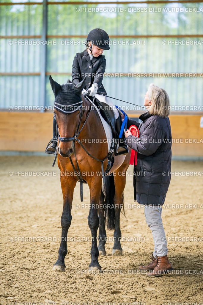 DSC02742 | Pferdegrafie