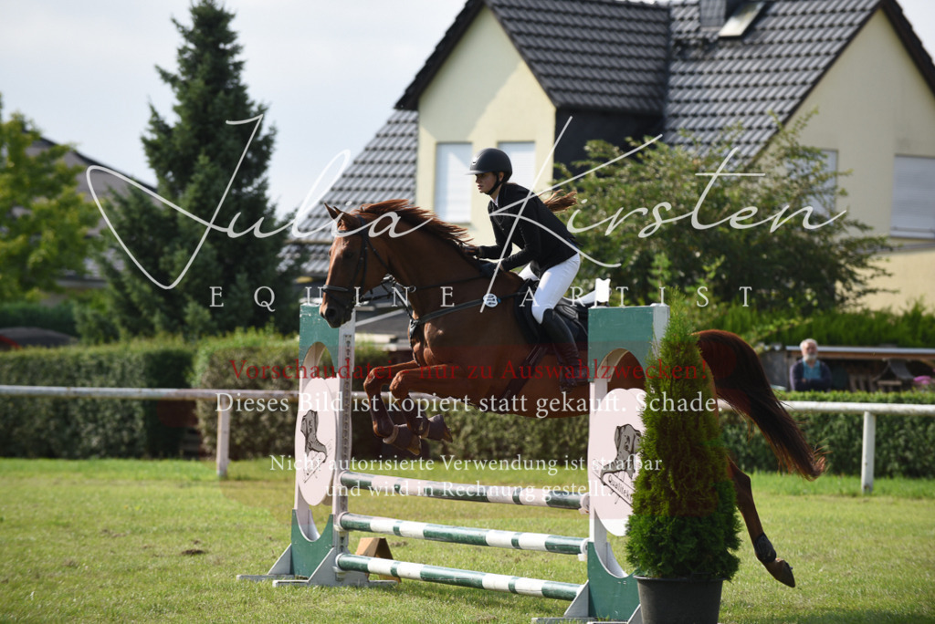 DSC_8768 | Pferde- und Turnierfotografie in Westsachsen. Pferdeportraits, Auftragszeichnungen und intuitive Kunst.