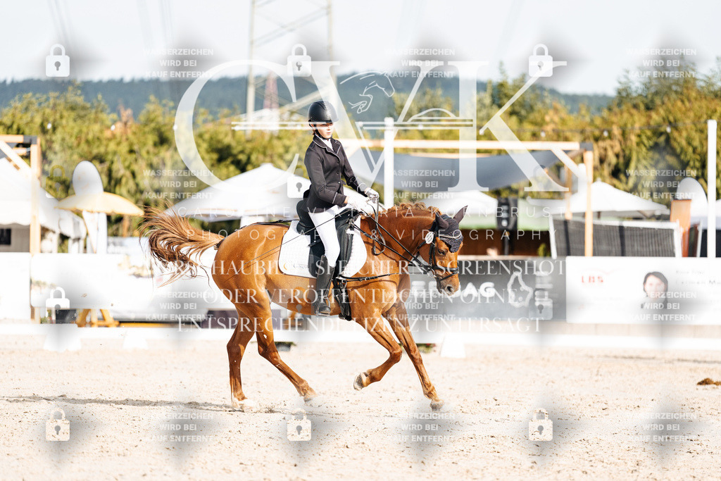 CK904549 | Turnierfotografie Pferdefotografie Trier Rheinland-Pfalz Pferdesport Reitsport Tierfotografie Sportfotografie Pferdevideo Pferdevideografie Equestrianvideography equestrianphotography  - Realisiert mit Pictrs.com