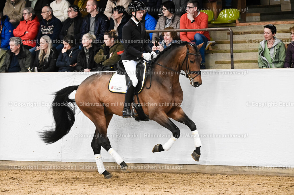20260307_Hengstvorstellung-Marbach_0064 | equistock