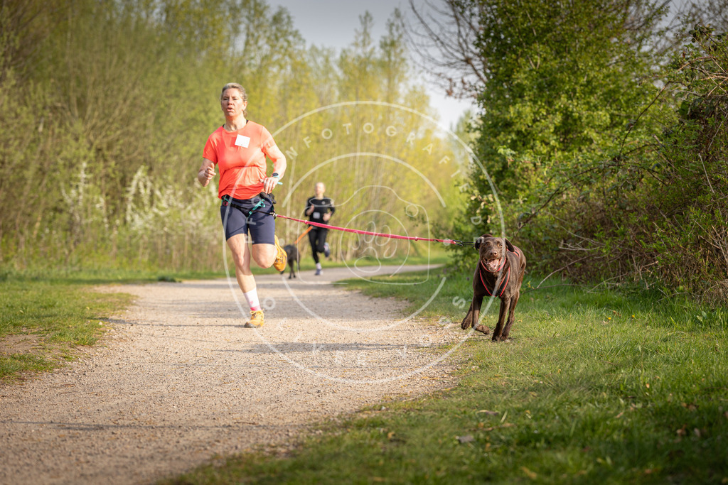 Pfotenfotografie_DV3A4590 | Hundefotografie, Tierfotograf, Pfotenfotografie, Fotoshooting Hund, Hunde Portrait, Hundesport, Hundeportraits, Heideshooting, Hunde, Sportfotograf, Hundefotograf, Turnierhundsport, THS,  - Realisiert mit Pictrs.com
