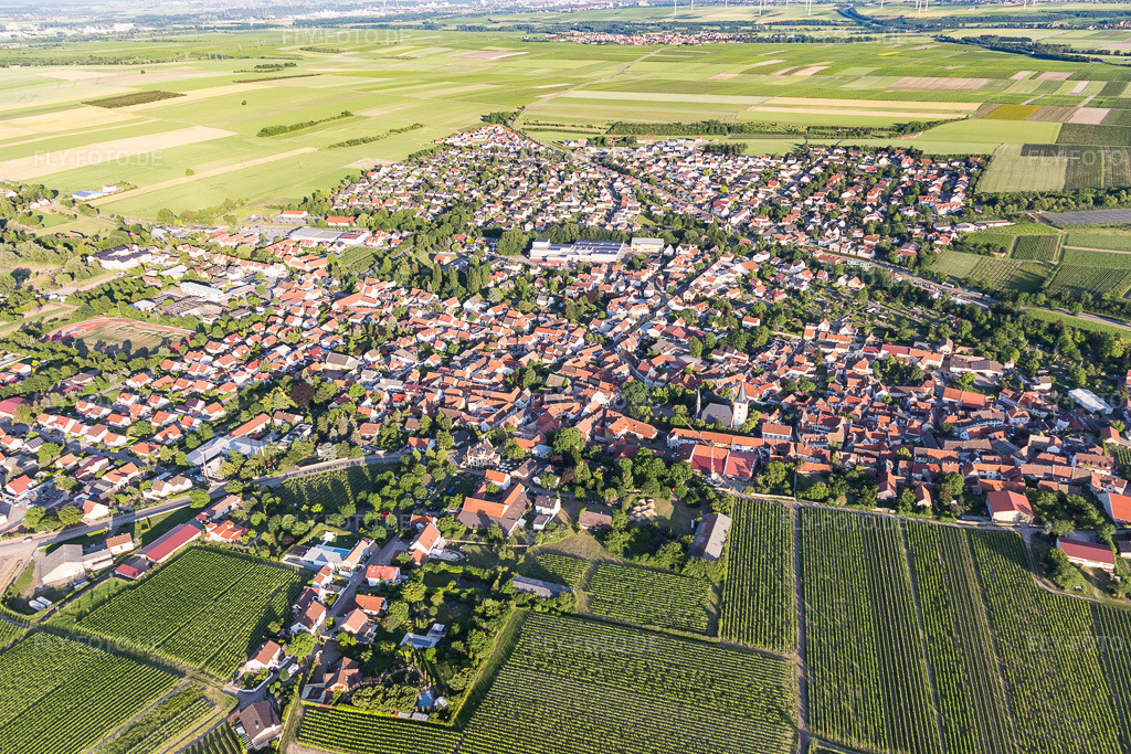 Luftbild: Landwirtschaftliche Nutzflächen und Feldgrenzen umsäumen das Siedlungsgebiet des Dorfes in Westhofen im Bundesland Rheinland-Pfalz in Deutschland. Foto: IMG_107657.jpg vom 03.06.2018 durch Werner Riehm/FLY-FOTO.de