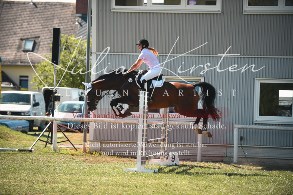DSC_7191 | Pferde- und Turnierfotografie in Westsachsen. Pferdeportraits, Auftragszeichnungen und intuitive Kunst.