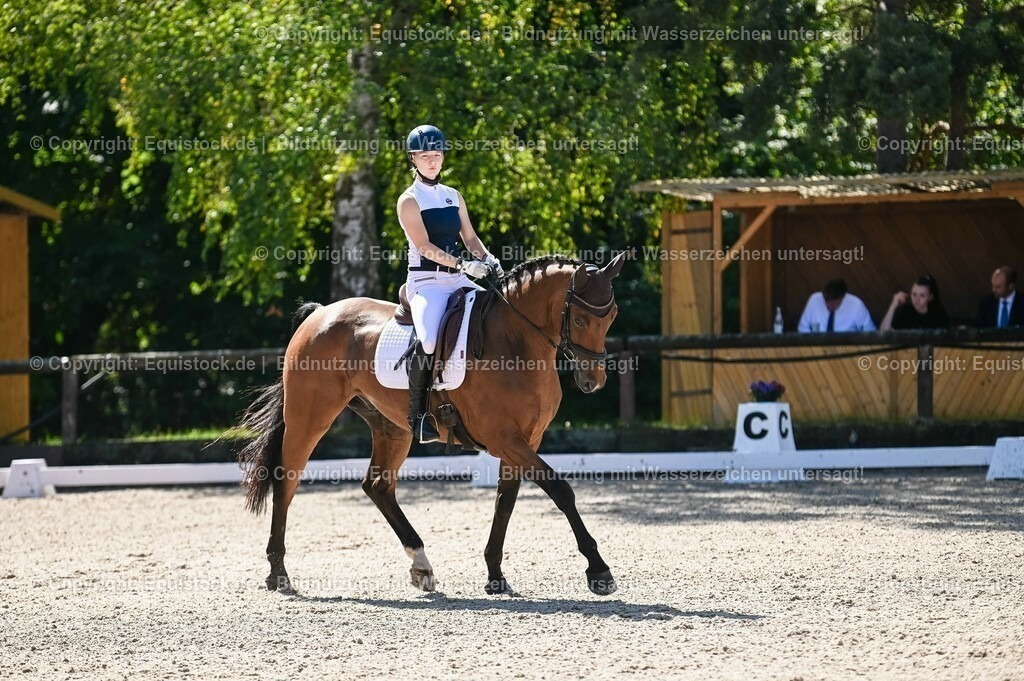 20230908_06_Dressur-L-Trense_0332 | equistock
