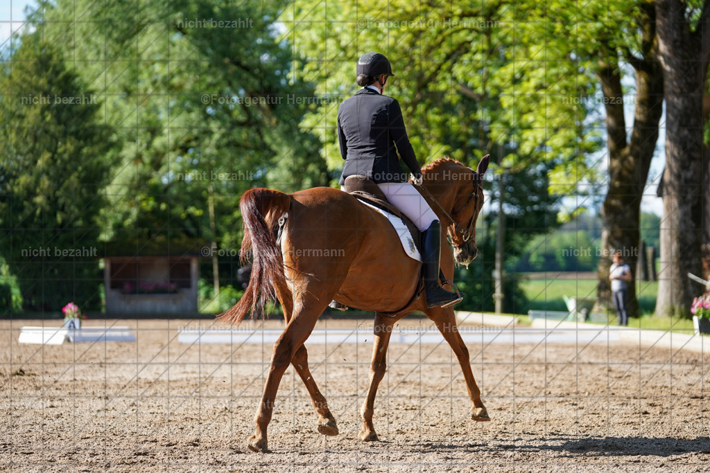 20240519-FAH04501 | Turnierbilder Niederseeon 2024, Vielseitigkeitsdressur, Reitsportbilder aus dem Landkreit Ebersberg, Gut Steinsee, RC Steinsee, Fotoagentur Herrmann