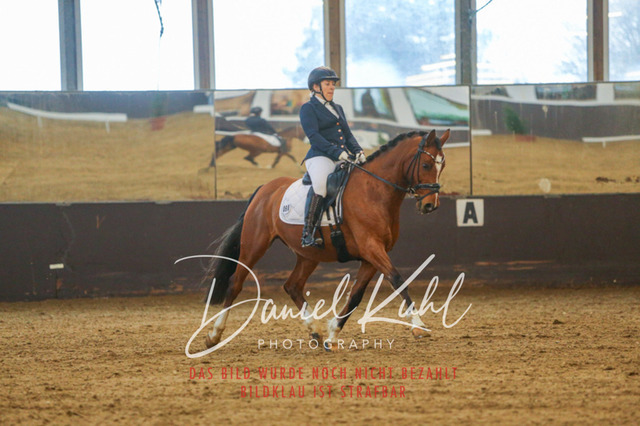 IMG_7517 | Turniersportfotografie; Pferdefotografie; Dressurfotografie