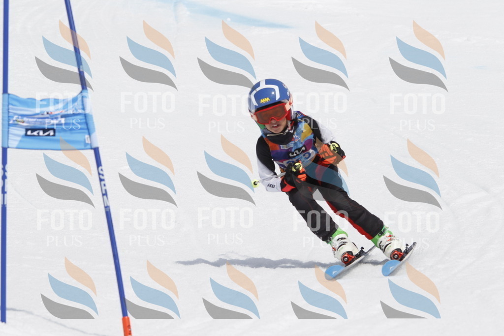 _U3G2430 | holidayphoto