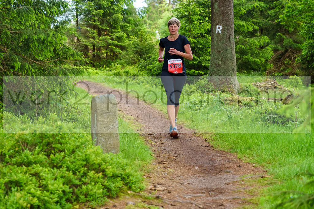 Rennsteiglauf Marathon 2024 | 25. Mai 2024 - 42,2 km von Neuhaus nach Schmiedefeld