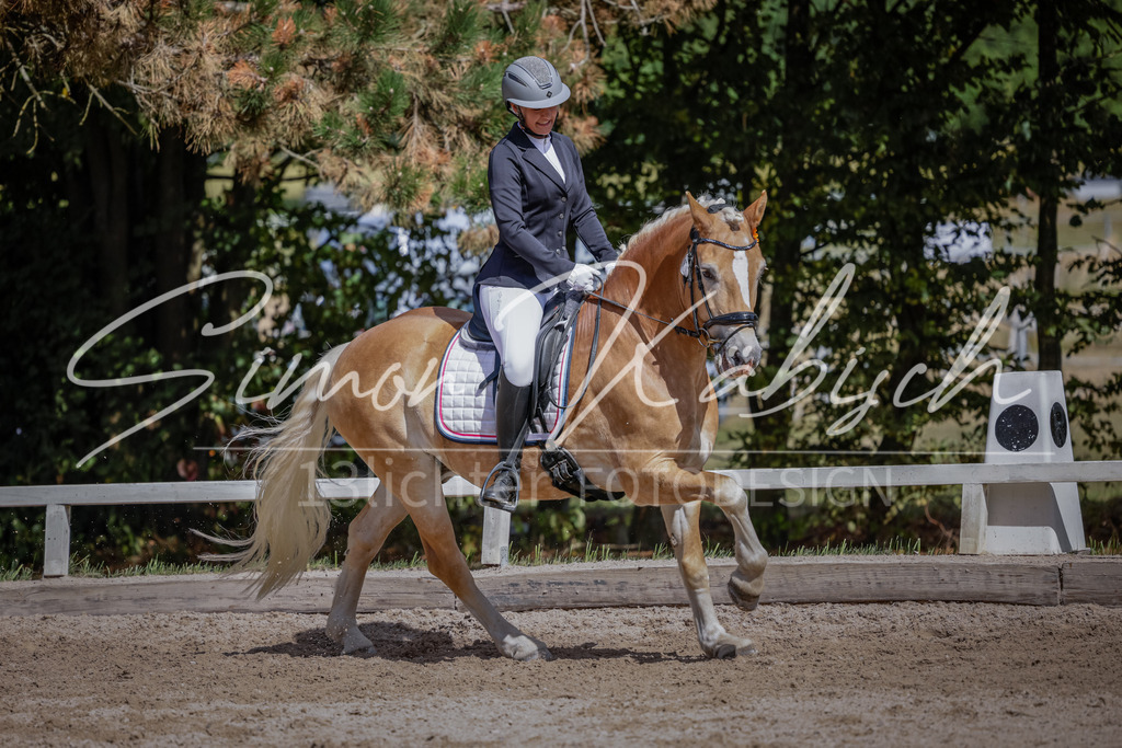 20250906-_3LI5838 | Tierfotografie Pferde, Hunde, Katzen, Haustiere.
Turnierfotografie Reitturniere, Reiten, Springreiten, Dressur in Hanau, dem Main-Kinzig-Kreis und dem Rhein-Main- Gebiet um Frankfurt