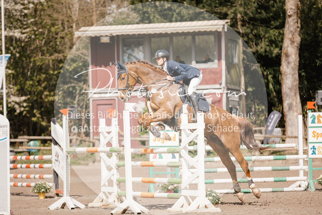 3I6A4309 | Stimmungsvolle Portraits und Reitsportfotografie im Ruhrgebiet und im Münsterland.

Pferdefotografie, Hundefotografie, Tierfotografie, Reportagen, Portraits von Tier und Mensch, Turnierfotografie in Bochum, Recklinghausen, Marl, Haltern am See, Dülmen.. - Realisiert mit Pictrs.com