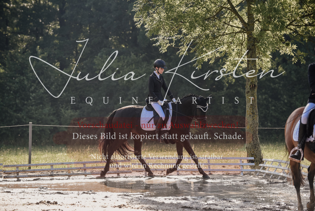 DSC_7863 | Pferde- und Turnierfotografie in Westsachsen. Pferdeportraits, Auftragszeichnungen und intuitive Kunst.