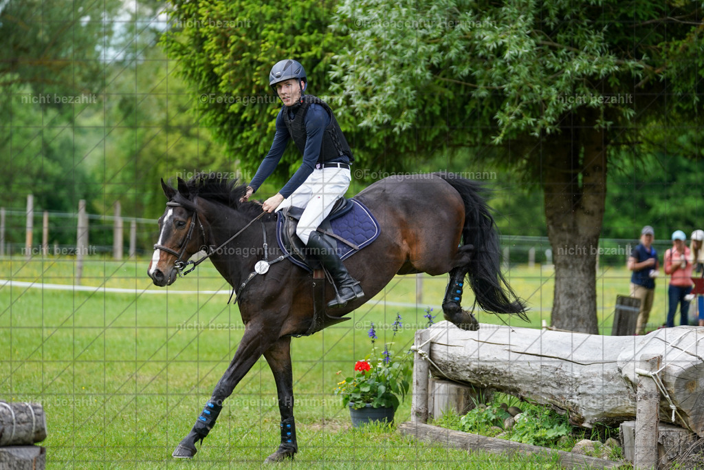 20240518-FAH03871 | Turnierbilder von Niederseon, Turnierfotografen Bayern, Fotoagentur Herrmann, Geländebilder, Reitsportfotografie