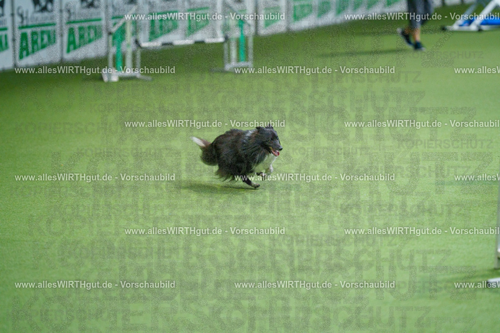 @allesWIRTHgut_Tierfotografie - www.allesWIRTHgut.de - 2604250841-7R507411 | Professionelle Tierfotografie in Mönchengladbach von Daniel Wirth (allesWIRTHgut). Liebevolle & natürliche Bilder von Hunden & Katzen für unvergessliche Erinnerungen.