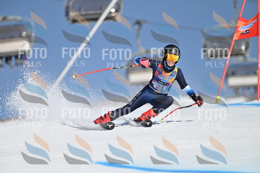 BGV_7949 | holidayphoto