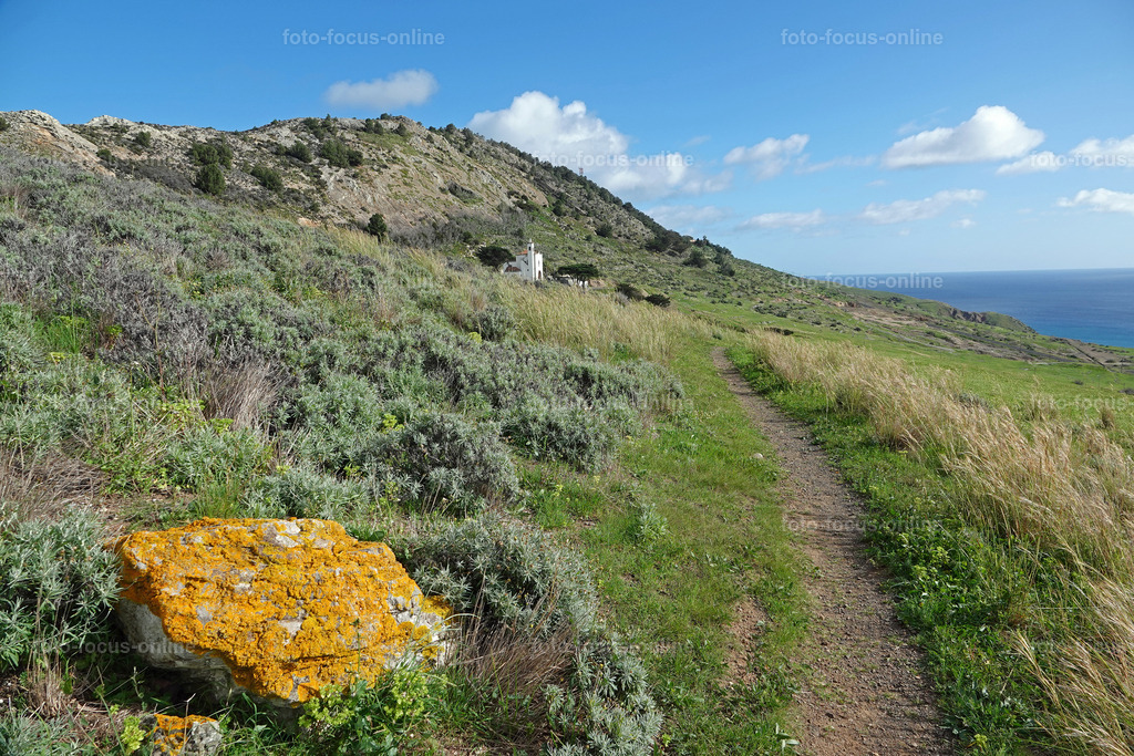 29 | foto-focus-online