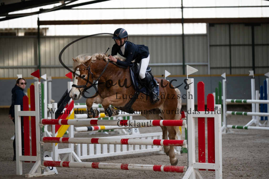 A7V07505 | Pferdefotograf