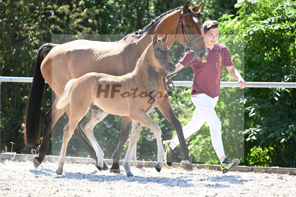 Kat-Nr. 7 HF Nechristo_Zimmermann_16230183 | hf-fotografie - Realisiert mit Pictrs.com