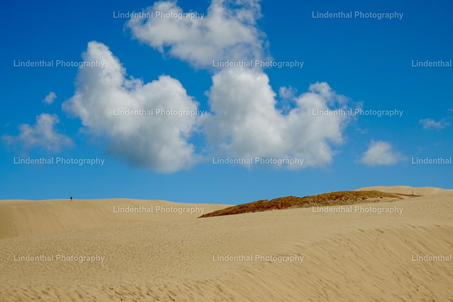 Wanderdüne - Giant Sand Dunes Neuseeland  | Dünen in Neuseeland - Realisiert mit Pictrs.com