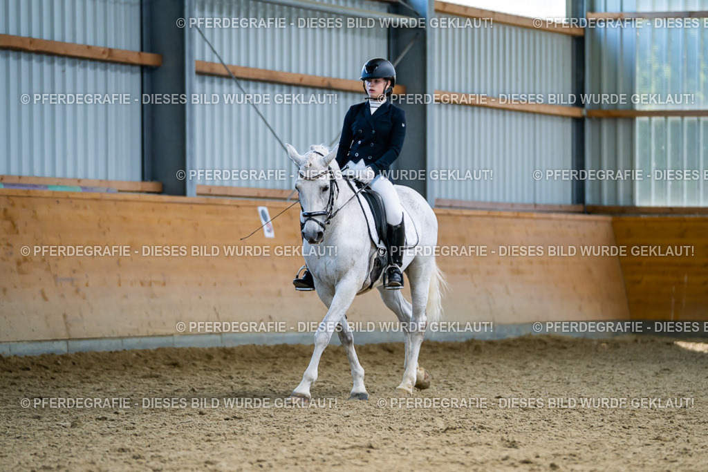 DSC05528 | Pferdegrafie