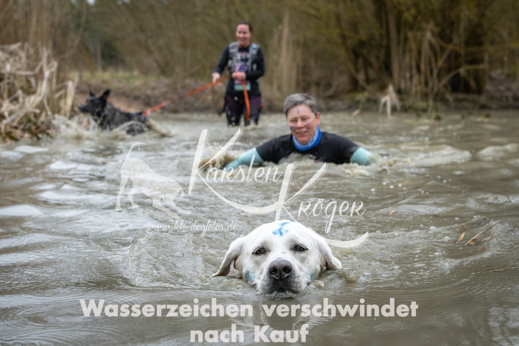 1344_ZZ92180 | kk-dogfotos