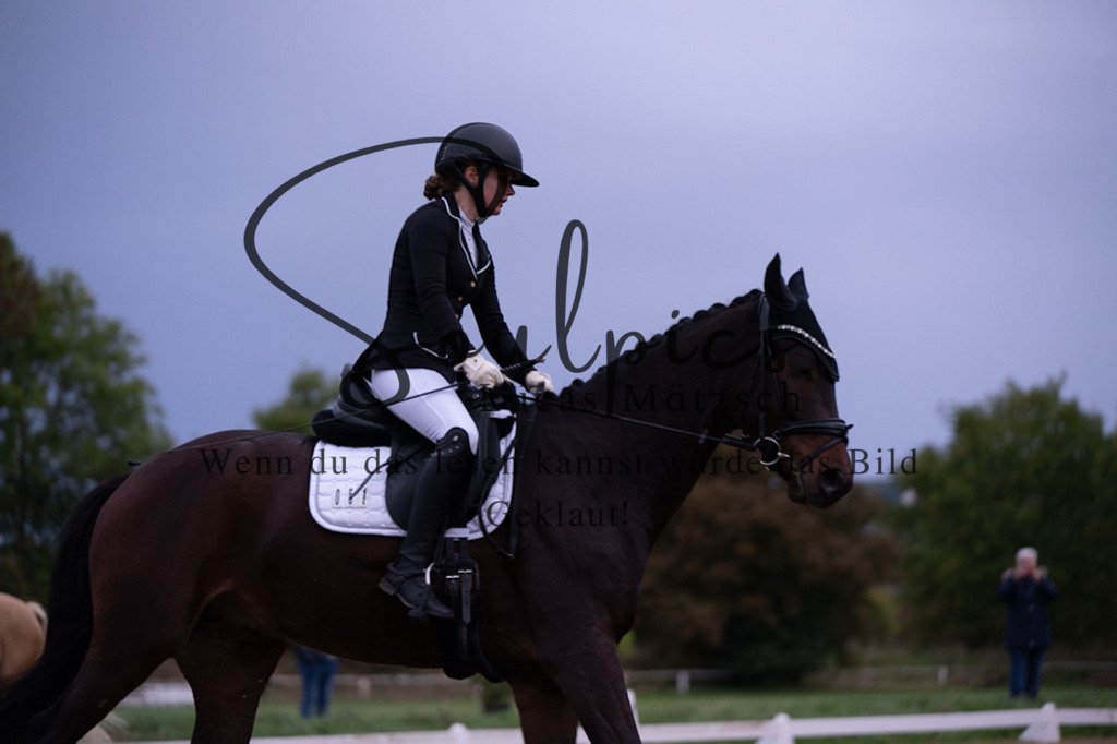 A7V04847 | Pferdefotograf