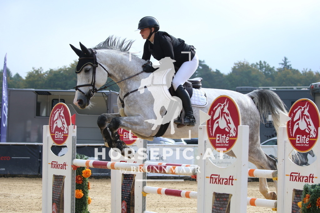 DL2Q0427 | Willkommen bei Brunnmayr - Design & Fotografie – Ihrem Spezialisten für Reitturniere und Pferdeveranstaltungen in Oberösterreich, Salzburg und Bayern! Seit über 17 Jahren sind wir leidenschaftlich dabei.
