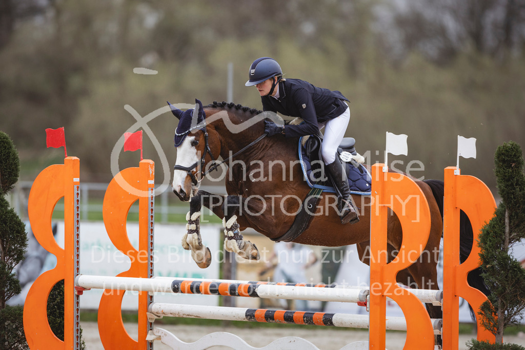 240330_Fruehlingsfest_Stil-A2-2-731 | Deine schönsten Turniermomente als professionelle Fotos! Entdecke hochwertige Pferdesport-Fotografie im Online-Shop. Jetzt Fotos finden & bestellen!