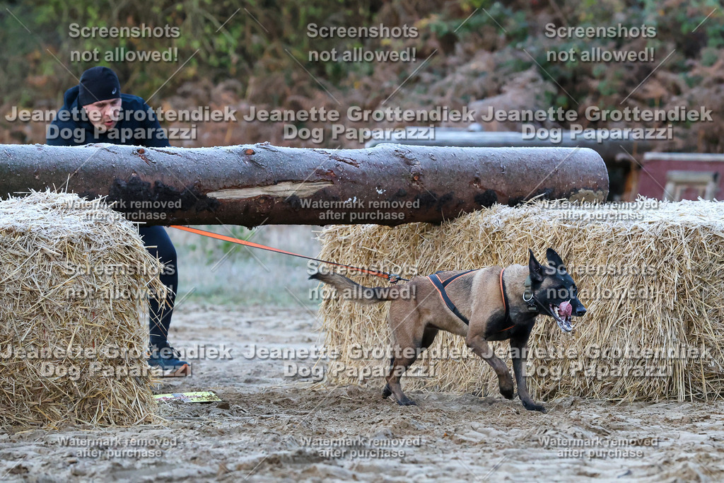 Dog Paparazzi - Strongdog 10-25-109 | Dog Paparazzi Jeanette Grottendiek Fotografie & Videografie - Realisiert mit Pictrs.com