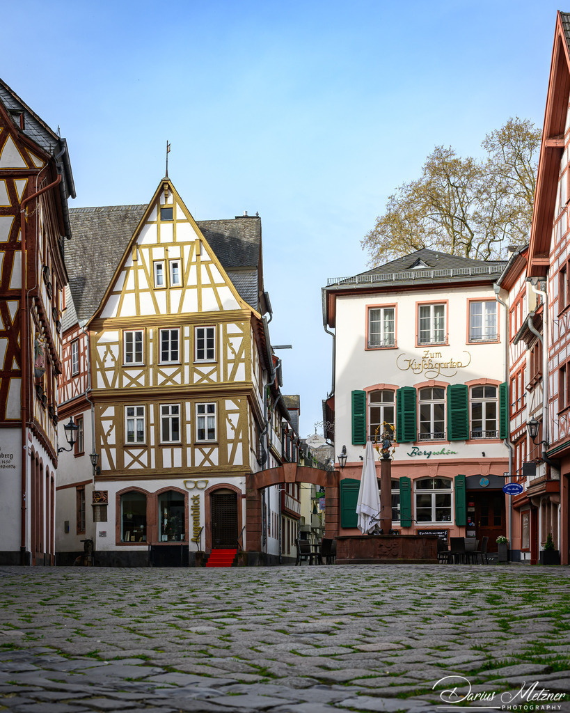 DSC_9309 2 | Fotografien, Fotos und Bilder aus Mainz, Frankfurt, Wiesbaden und anderen Orten auf der Welt - Fotografiert von Darius Metzner
